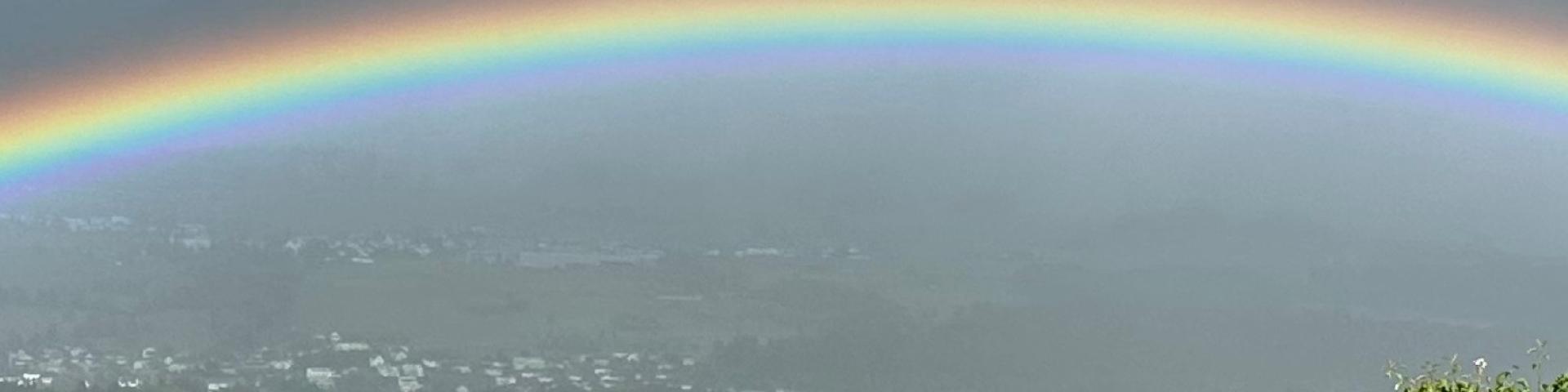 Regenbogen